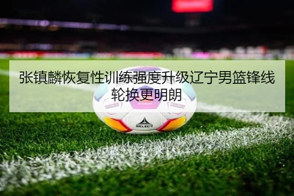 张镇麟恢复性训练强度升级辽宁男篮锋线轮换更明朗